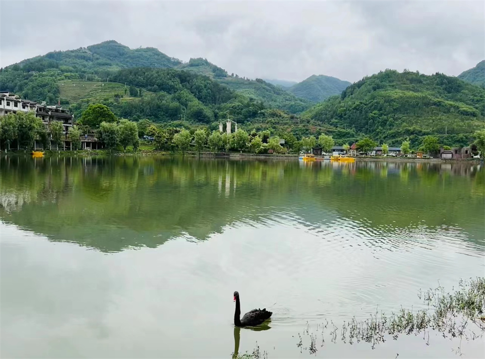 微信图片_20220516160439